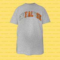 FALSE Shirt (Grey)