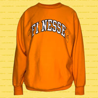 FINESSE college REsweatshirt Orange