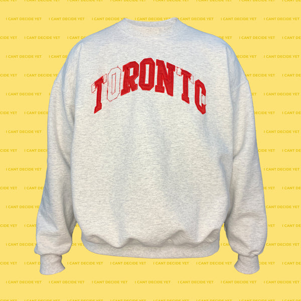 IRONIC REsweatshirt