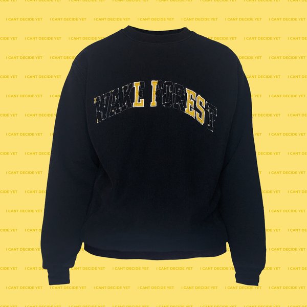LIES college REsweatshirt