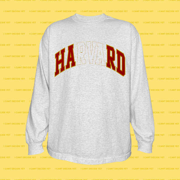 HARD LS Shirt (Ash Grey)